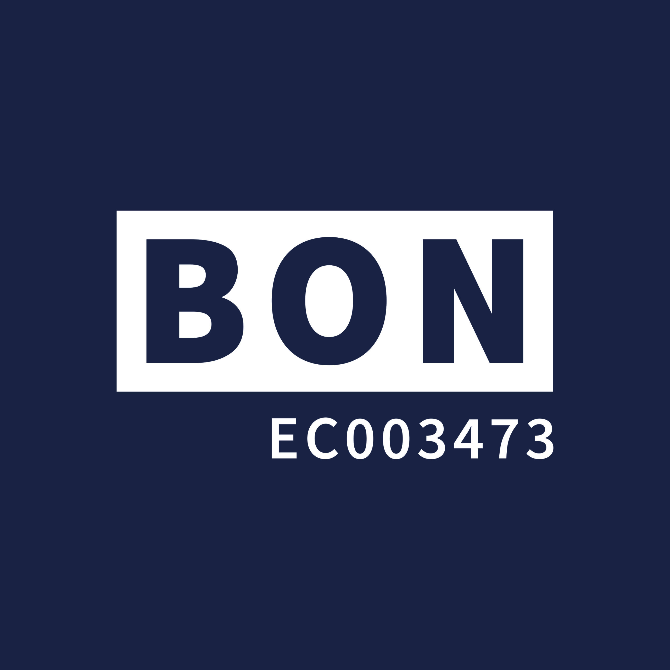 BON: Electrical Services & Water Pump System Solutions 