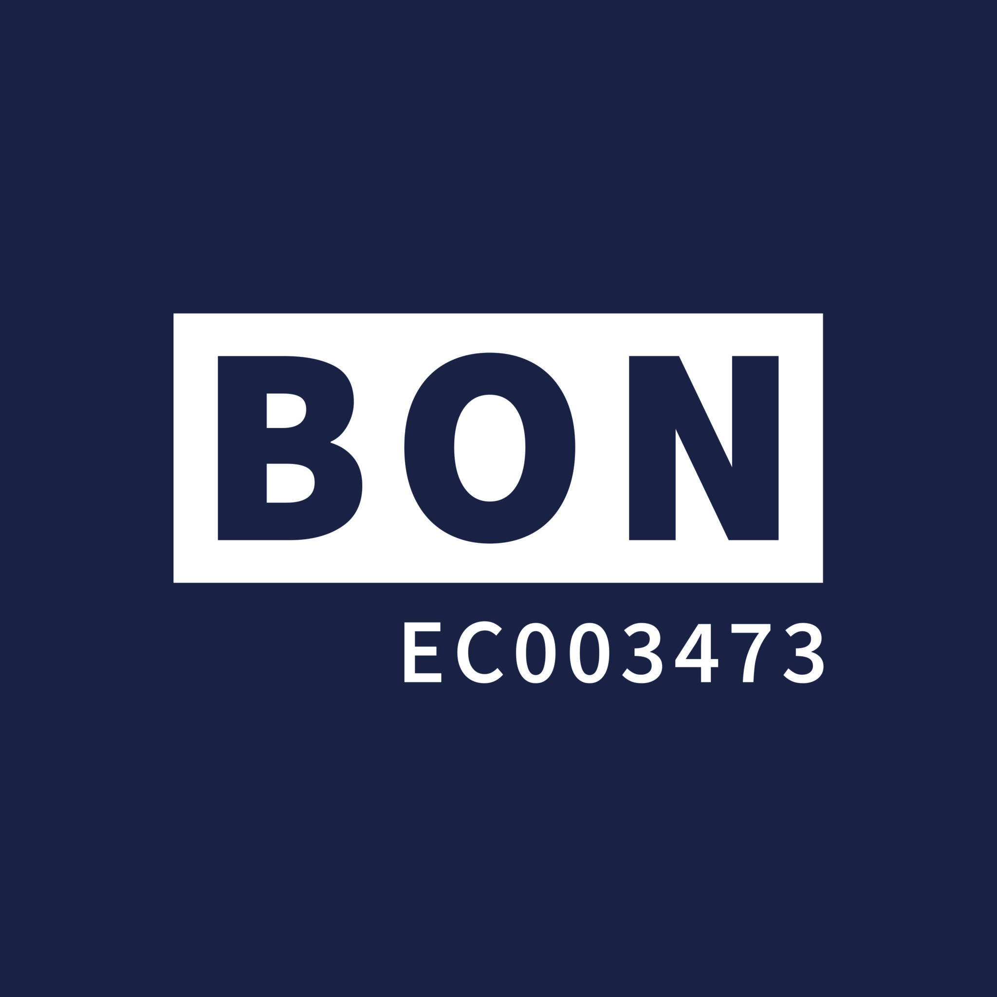 BON: Electrical Services & Water Pump System Solutions 
