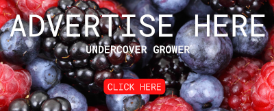 undercovergrowerbanner400