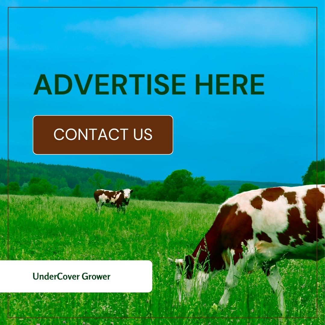 ad