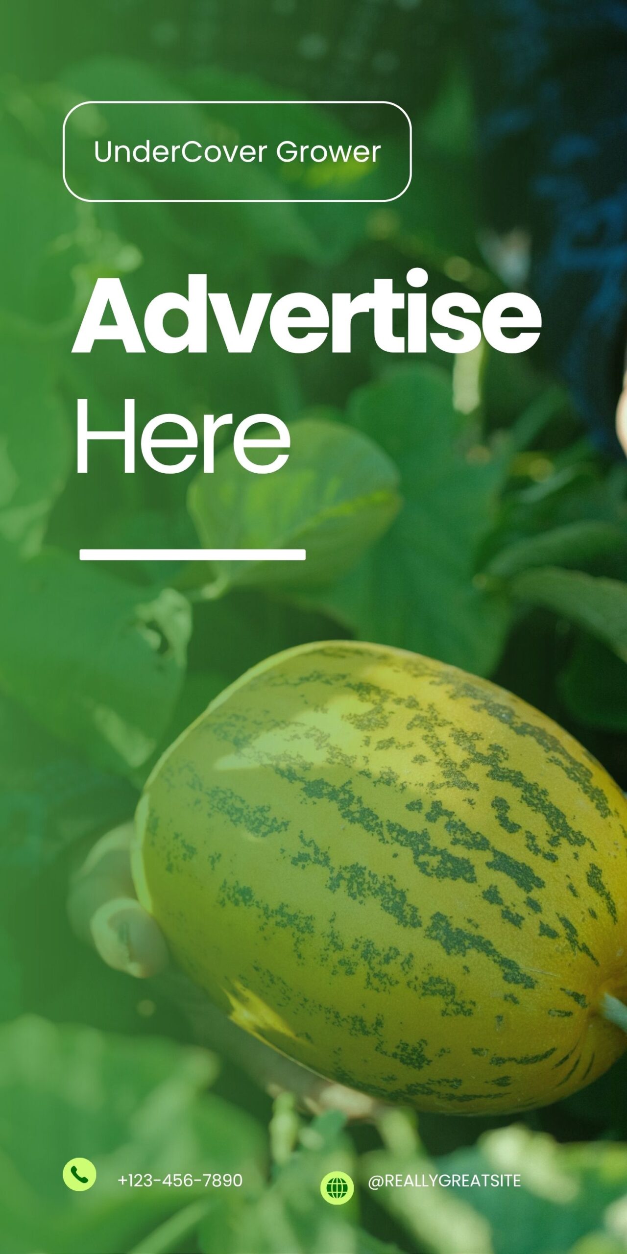 adertise